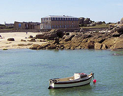 Les Chardons Bleus - Brignogan-Plages