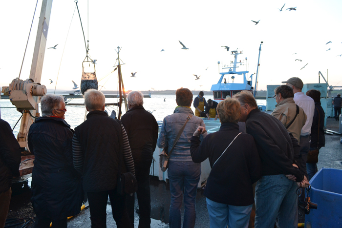 Le Port de pêche
