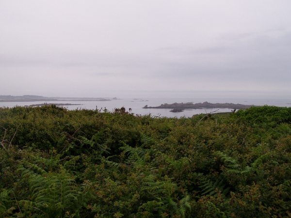 Site naturel de Bringwiller