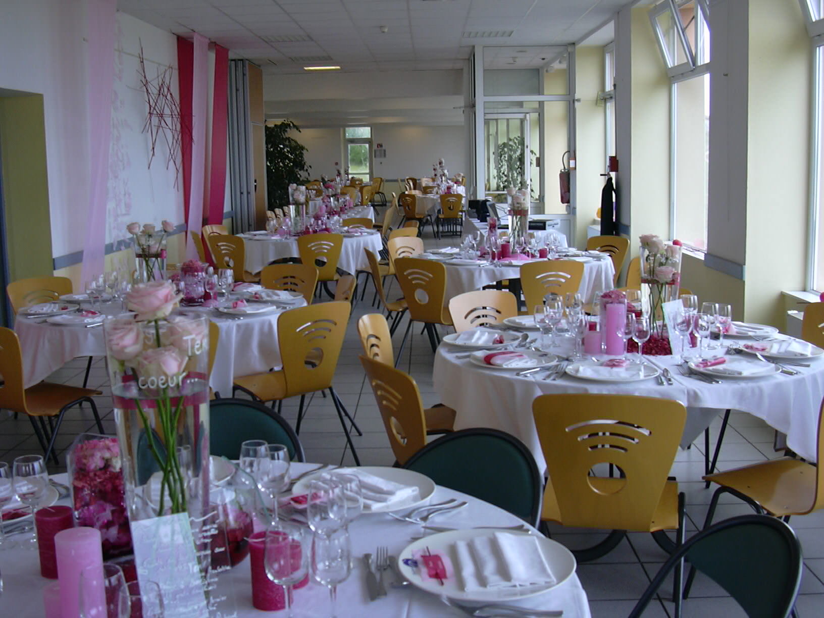 Les Chardons Bleus - Brignogan-Plages