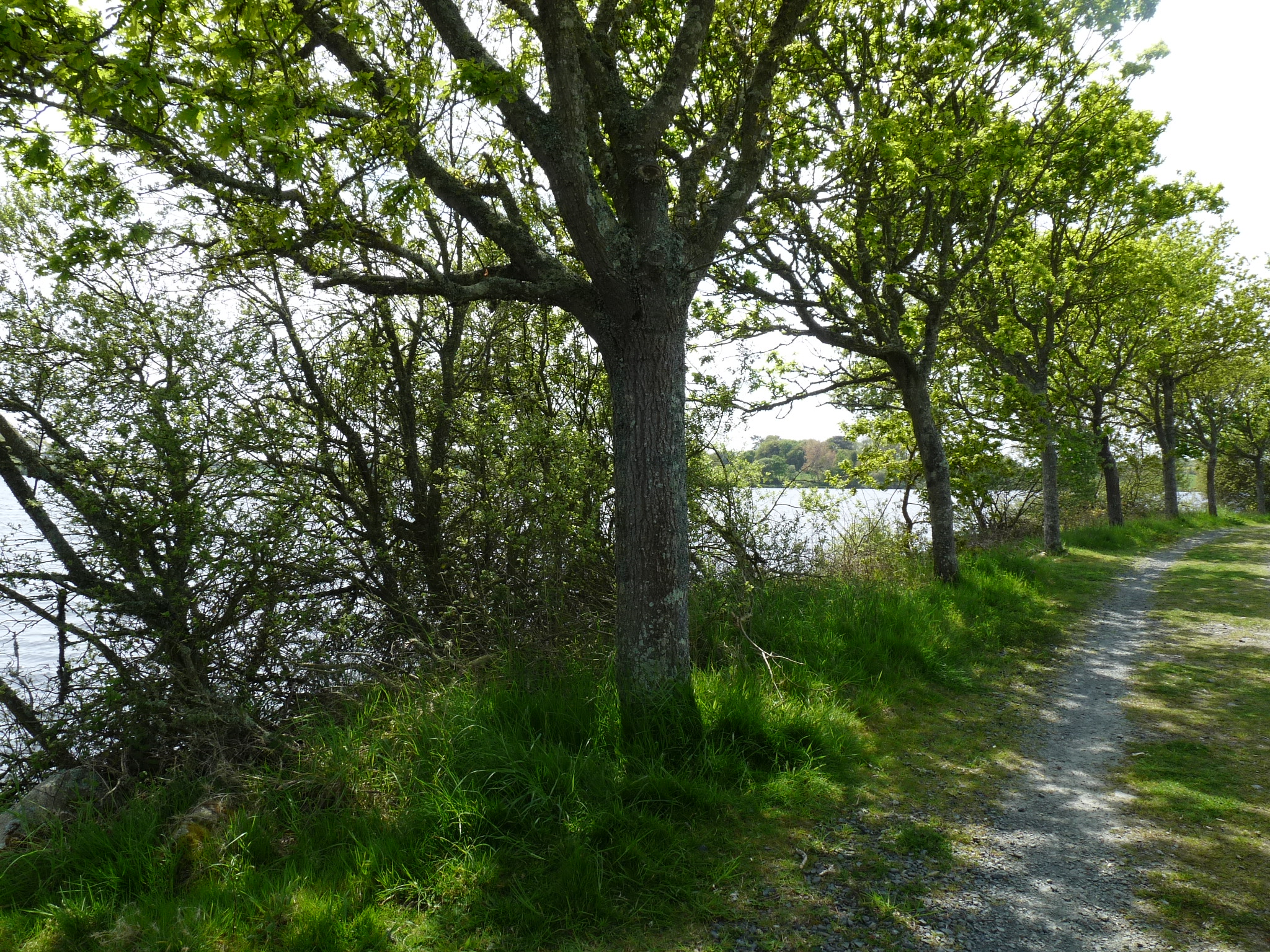 Photo de Plan d'eau du Moulin Neuf