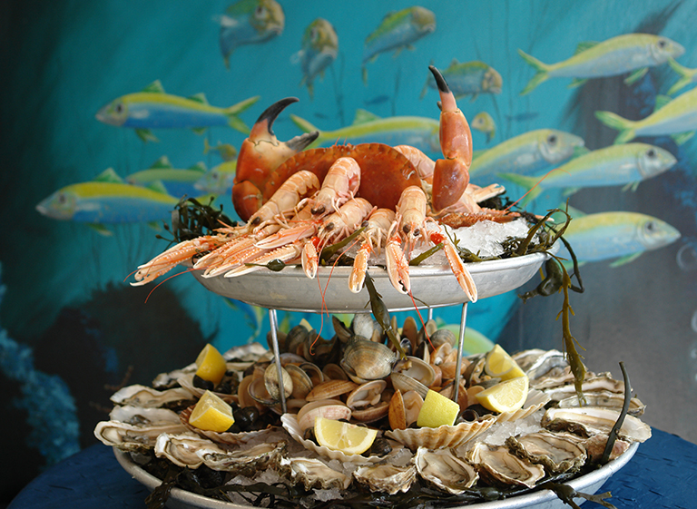 La maison de l'Océan