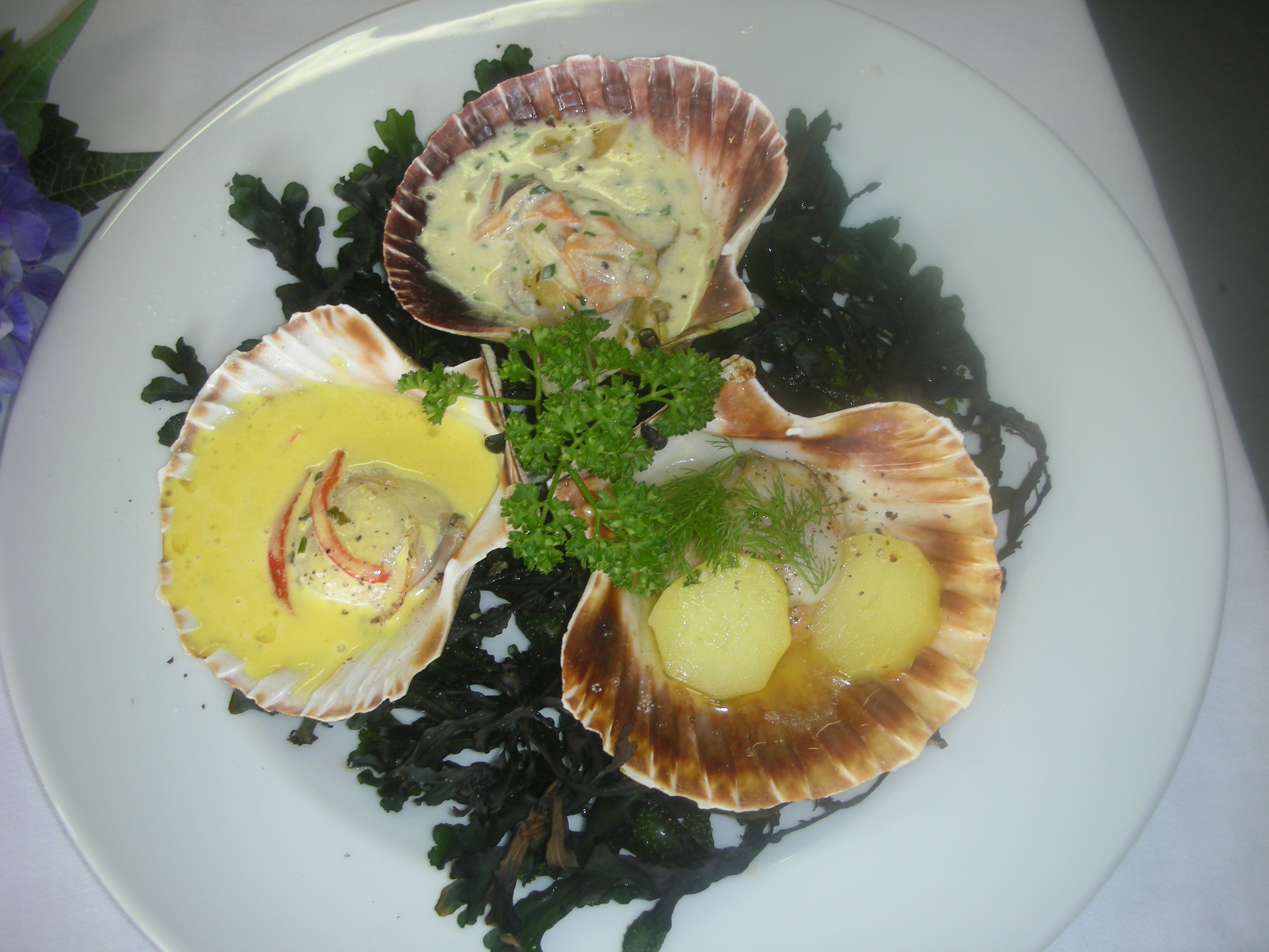 Hôtel-Restaurant La Plage