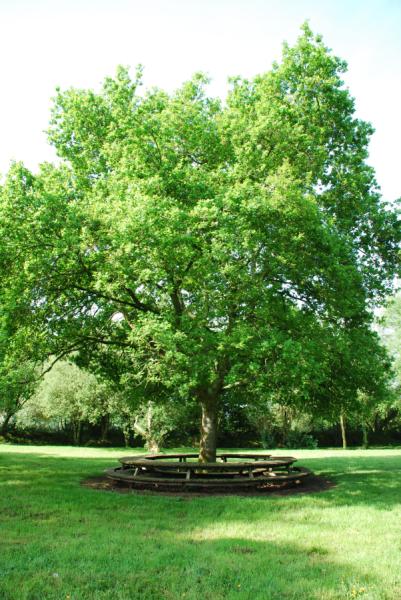 Site du Champ de Tir