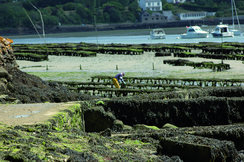 Restaurant Chez Jacky Maison Noblet