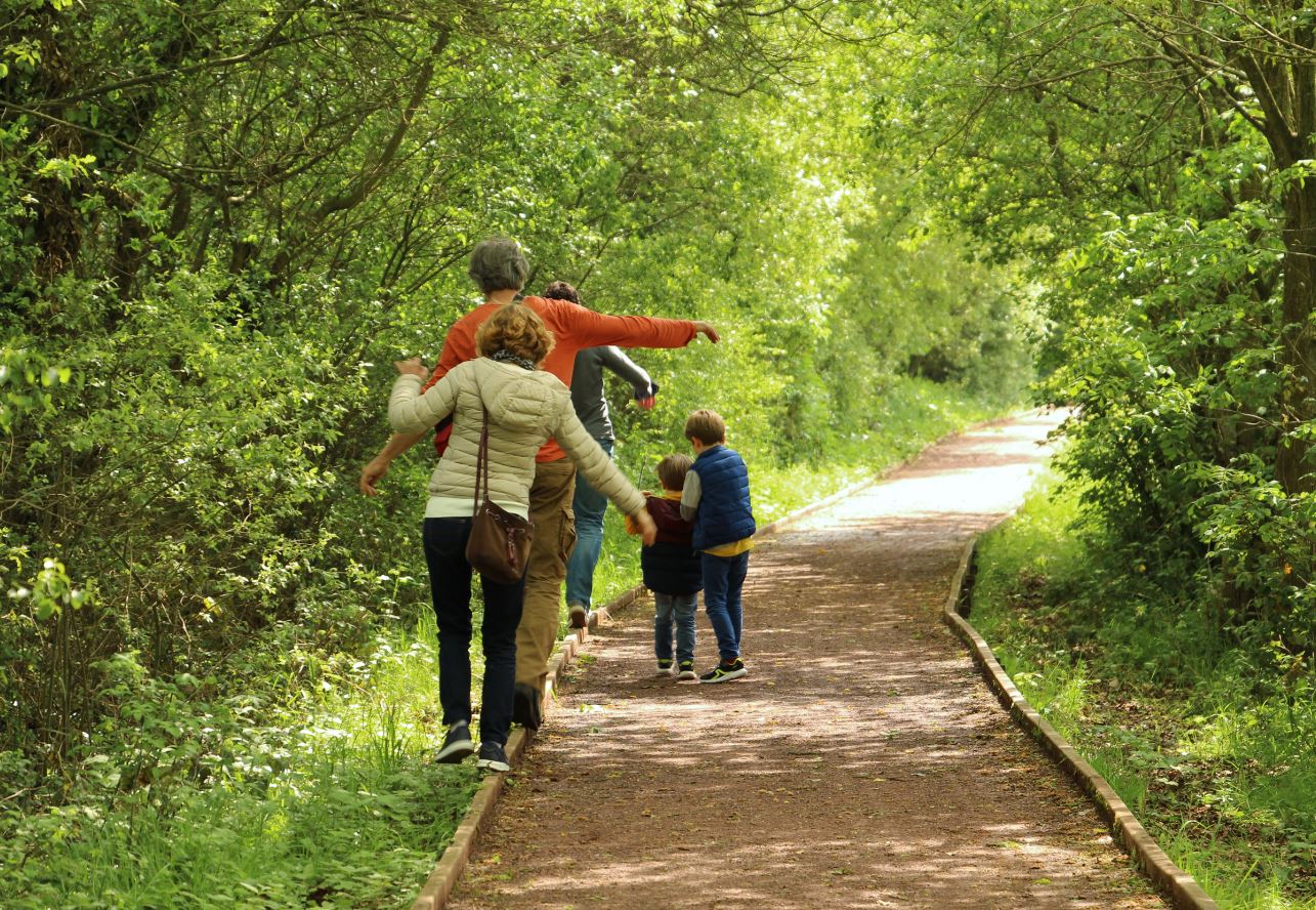 La forêt d'Iffendic