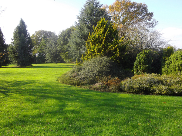 Jardin botanique des Montagnes Noires