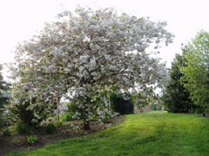 Parc des Rhodogîtes du Goëlo