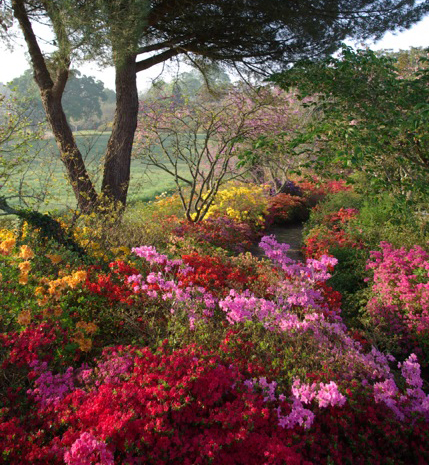 Parc de Boutiguéry
