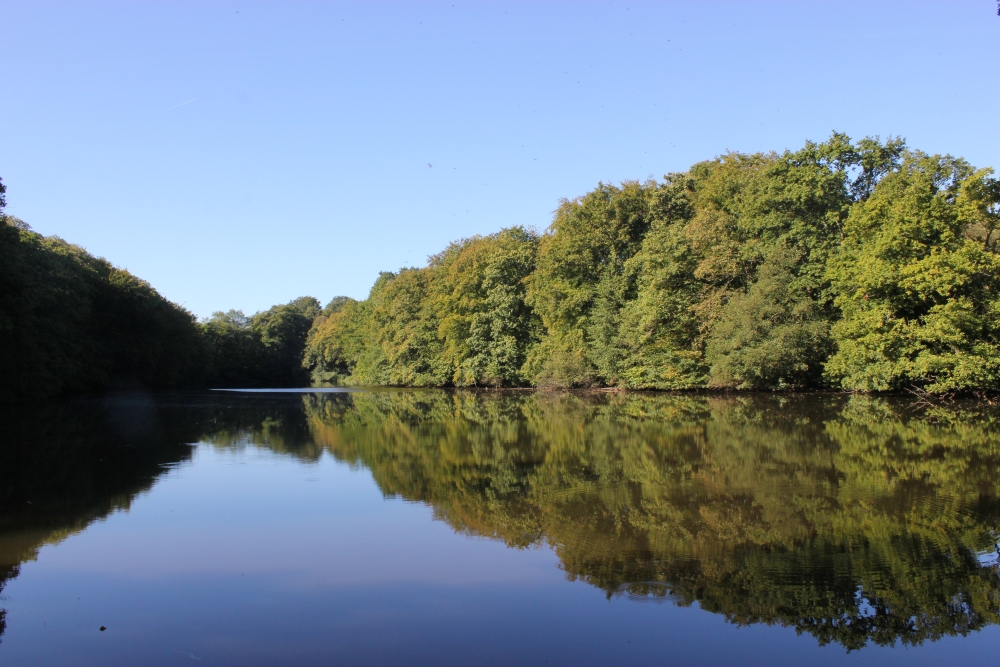 Le Parc de la Higourdais