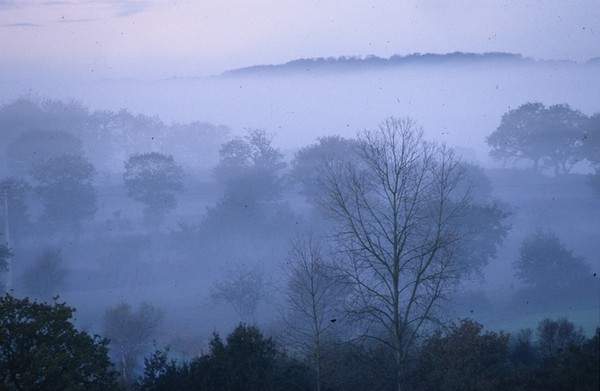 Forêt de Beffou