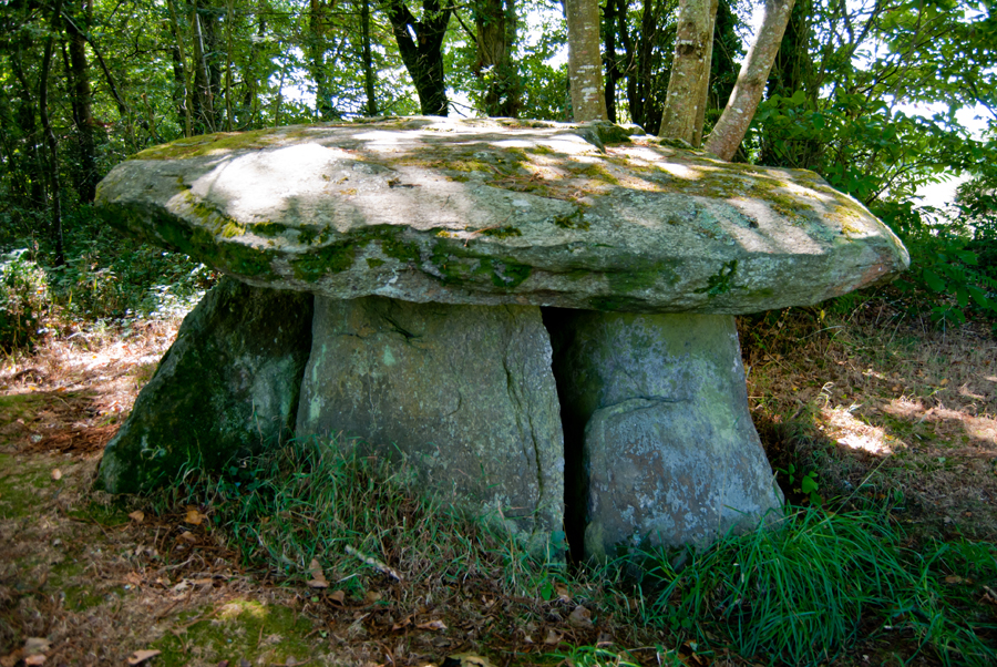 Dolmen et Menhir de Lesaff