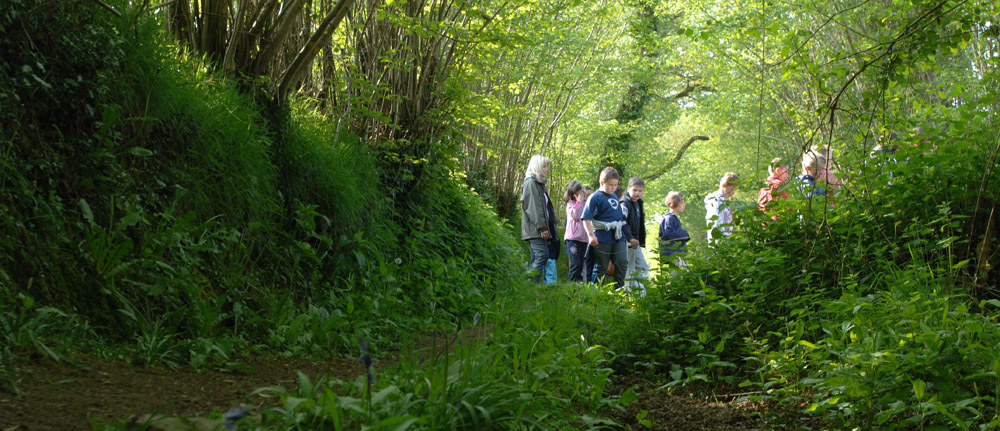Centre de Découverte de la Forêt et du Bocage