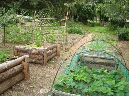 Jardin potager du centre forêt bocage