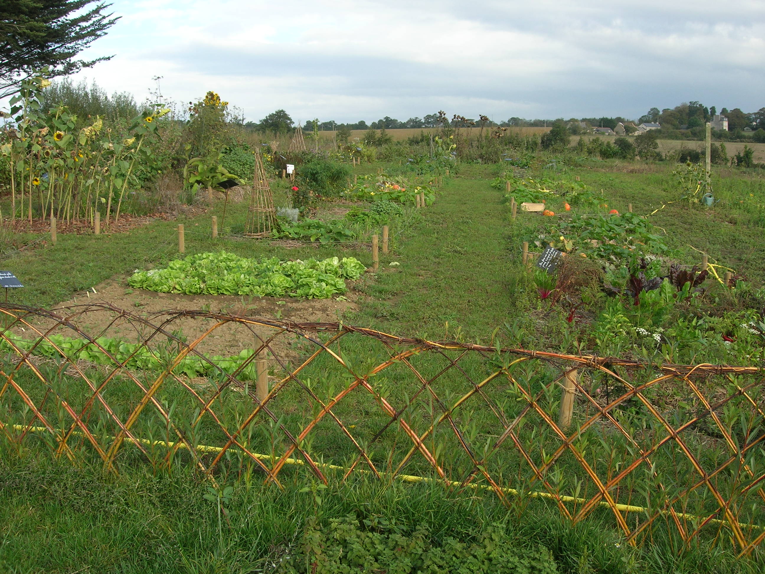 Potager médiéval Herbarius