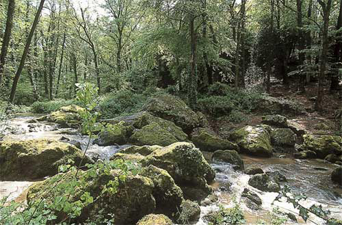 Les Roches du Saut-Roland